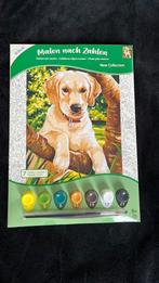 Schilderen op nummer hond, Ophalen of Verzenden, Nieuw, Dieren