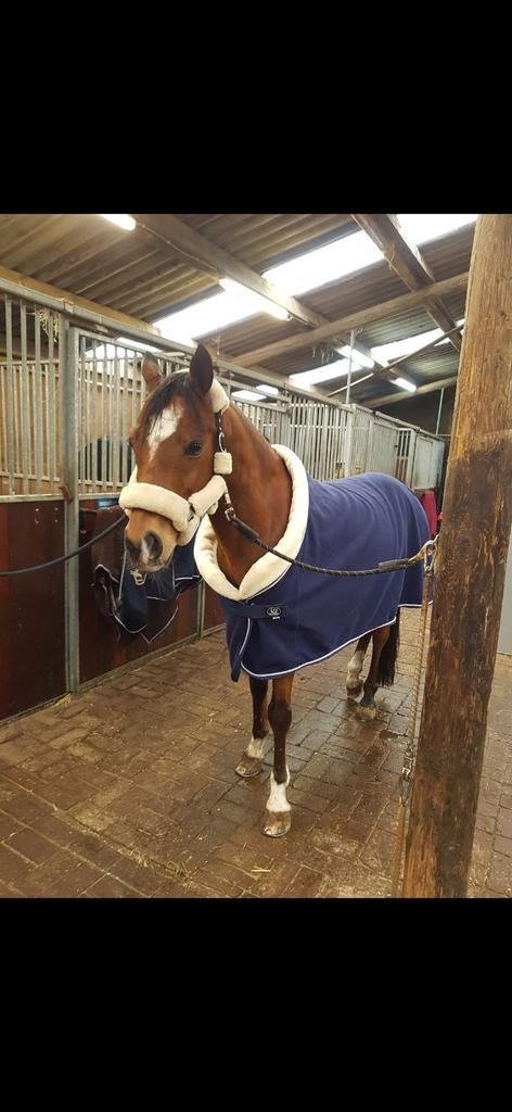 Horsegear fleece deken, Dieren en Toebehoren, Paarden en Pony's | Dekens en Dekjes, Ophalen of Verzenden, Nieuw