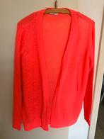 Vest van Jacqueline de Yong maat L, Ophalen of Verzenden, Gedragen, Maat 38/40 (M), Overige kleuren