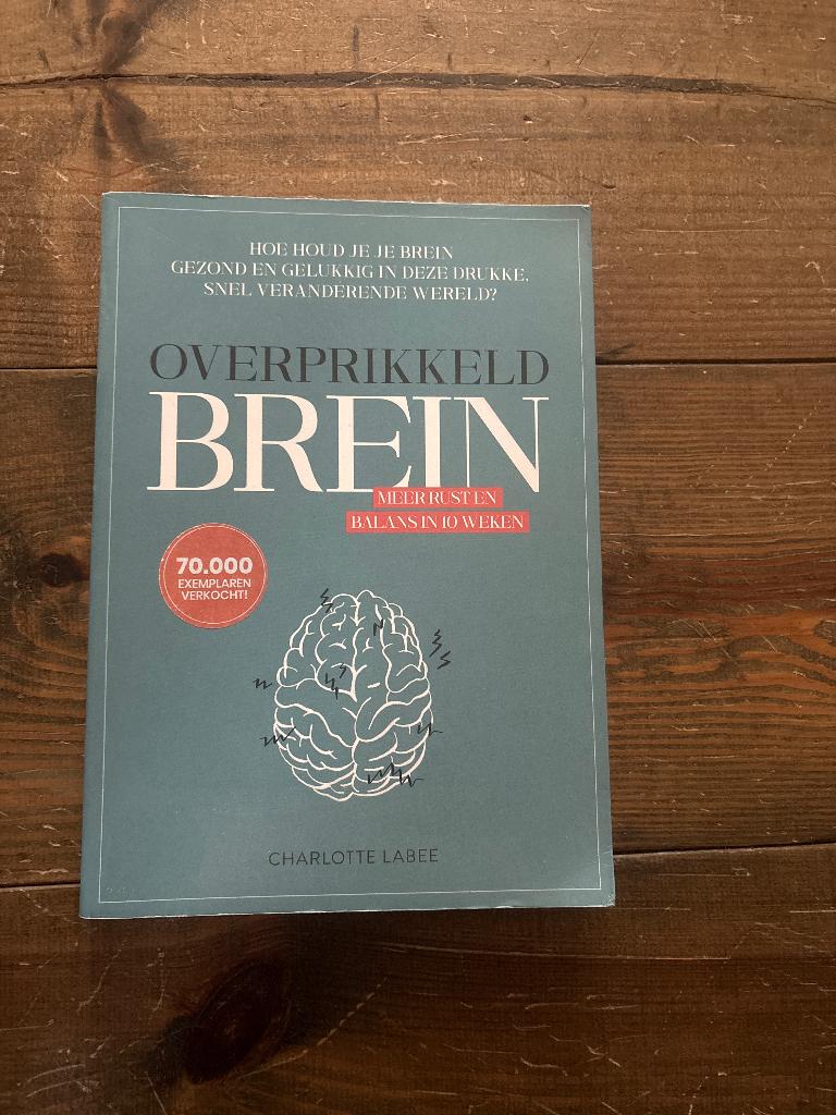 Overprikkeld brein Charlotte Labee, Ophalen, Zo goed als nieuw, Charlotte Labee