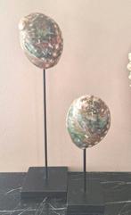 Mooie groenige echte schelpen op zwarte voet japandi chique, Nieuw, Ophalen of Verzenden, X, X