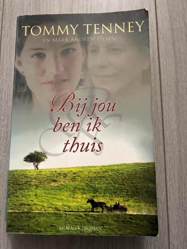 Bij jou ben ik thuis - Tommy Tenney & Mark Andrew Olsen, Ophalen of Verzenden, Gelezen, Nederland