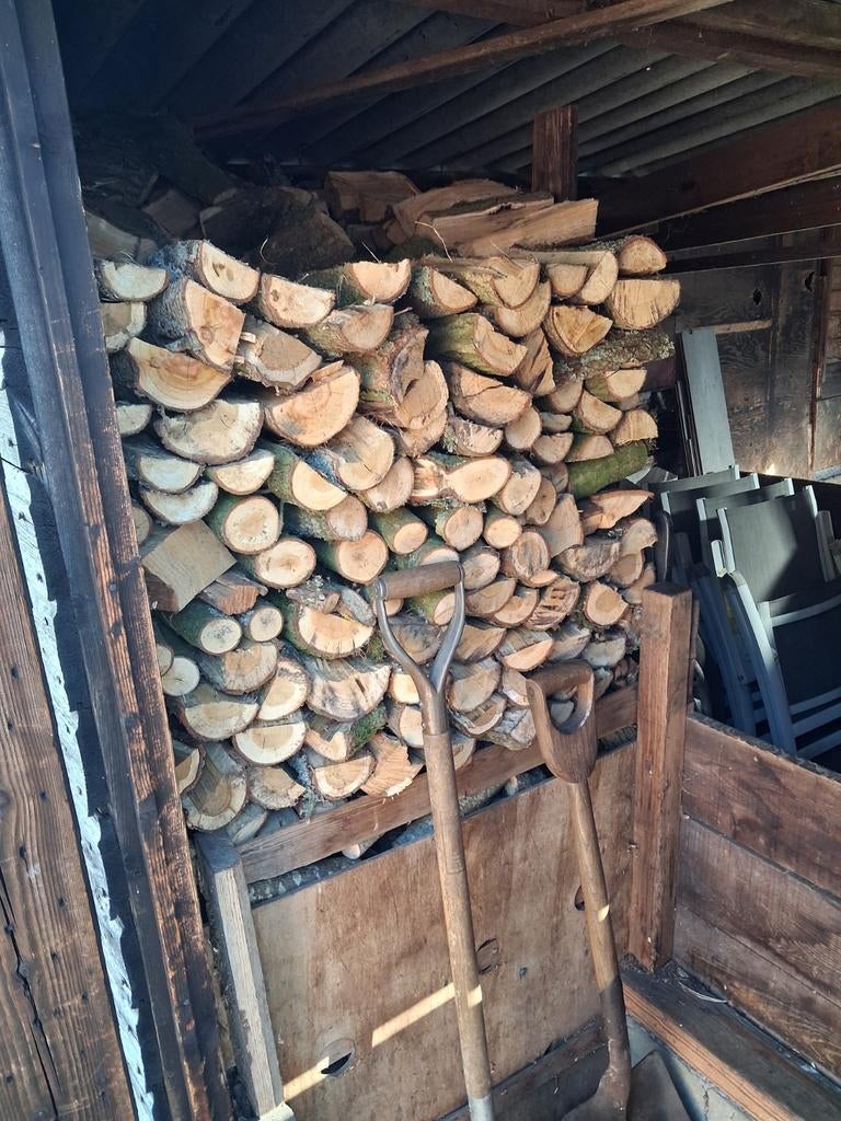 Te koop, Tuin en Terras, Haardhout, 6 m³ of meer, Ophalen of Verzenden