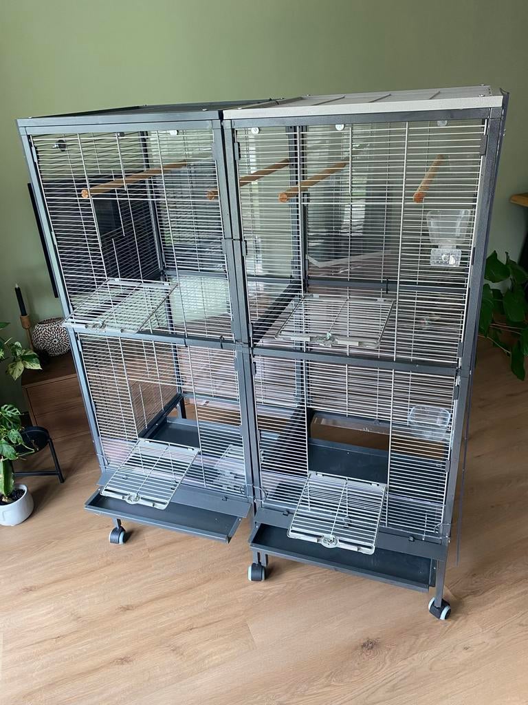 Ruime vogelkooi met plexiglas, parkieten/dwerg papegaaien, Ophalen, Hout, Broedkooi of Kweekkooi