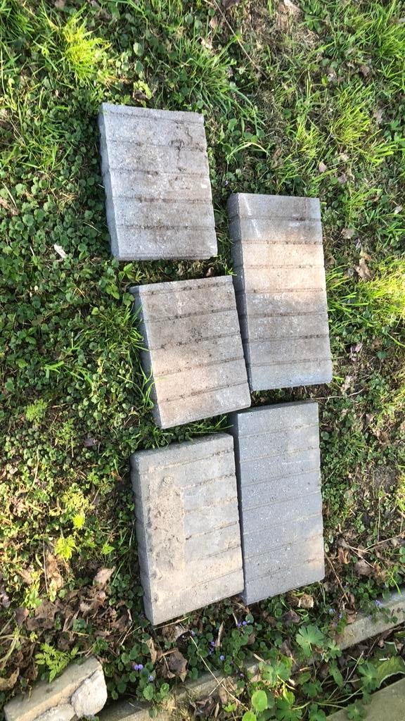 Gratis af te halen Palissade, Ophalen, Zo goed als nieuw, Overige materialen