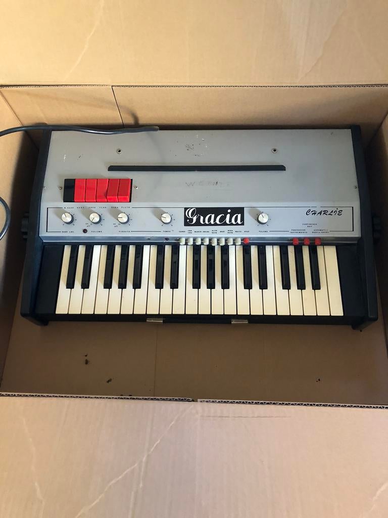 Electric punk orgel- Gracia Charlie, Muziek en Instrumenten, Keyboards, Ophalen, Gebruikt, Overige aantallen, Overige merken