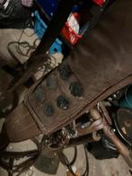 Shetlander mentuig, Ophalen of Verzenden, Overige soorten