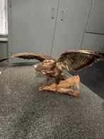 Opgezette valk - Zeer netjes en gedetailleerd, Ophalen of Verzenden, Zo goed als nieuw, Vogel, Opgezet dier