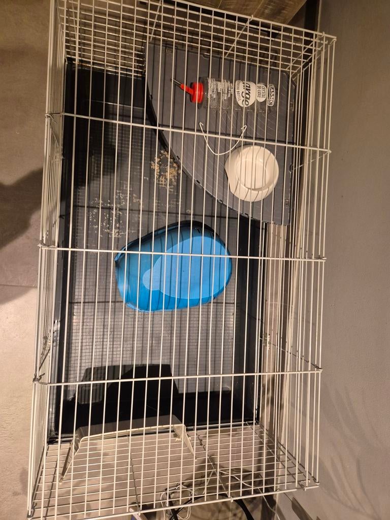 Compleet konijnenpakket, Dieren en Toebehoren, Meerdere dieren