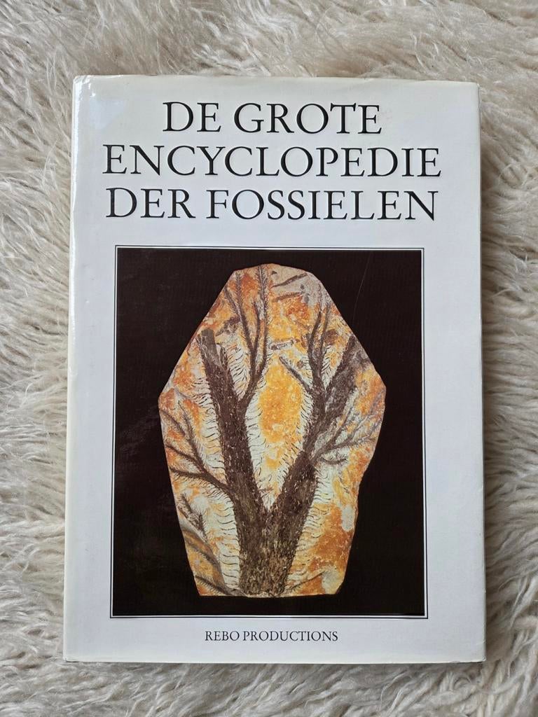 De grote encyclopedie der mineralen, Boeken, Ophalen of Verzenden, Gelezen