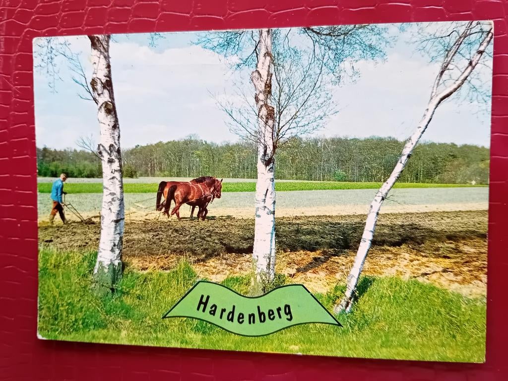 Ansichtkaart Hardenberg, Verzenden, Zuid-Holland