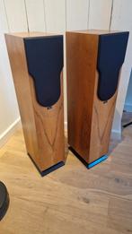 Chario Syntar 200 luidsprekers, Audio, Tv en Foto, Ophalen of Verzenden, 120 watt of meer, Front, Rear of Stereo speakers, Overige merken