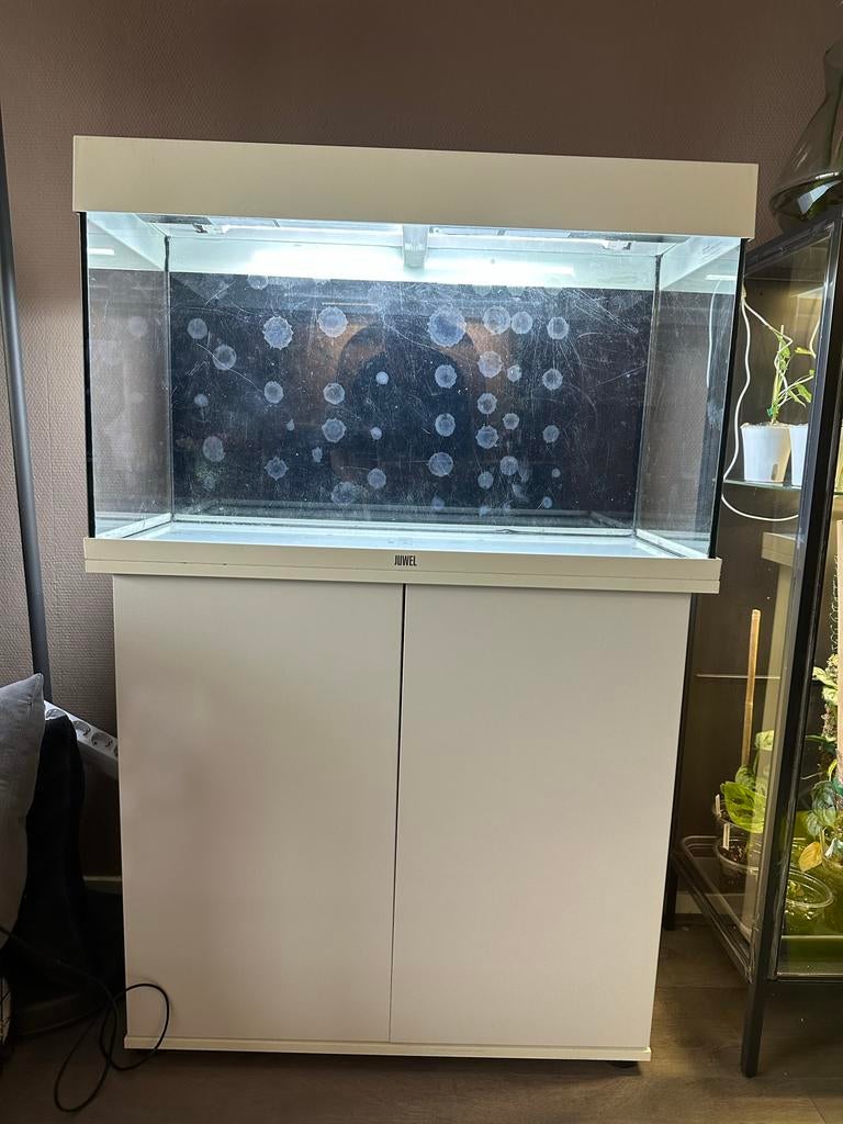 Juwel Rio 125 Aquarium incl. Meubel - Wit - 100% Waterdicht, Ophalen, Gebruikt, Juwel, Inclusief deksel