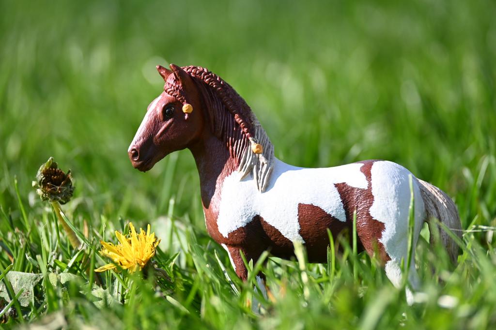 Schleich repaint ijsland pony merrie, Verzamelen, Dierenverzamelingen, Ophalen of Verzenden, Nieuw, Paard, Beeldje of Figuurtje