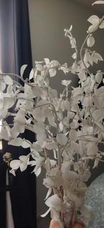 Eucalyptus takken / decoratie Eucalyptus / Eucalyptus glas, Huis en Inrichting, Woonaccessoires | Kunstplanten en Kunstbloemen