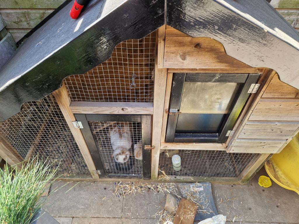 Konijnenhok / kippenhok, Dieren en Toebehoren, Knaagdieren en Konijnen | Hokken en Kooien, Ophalen