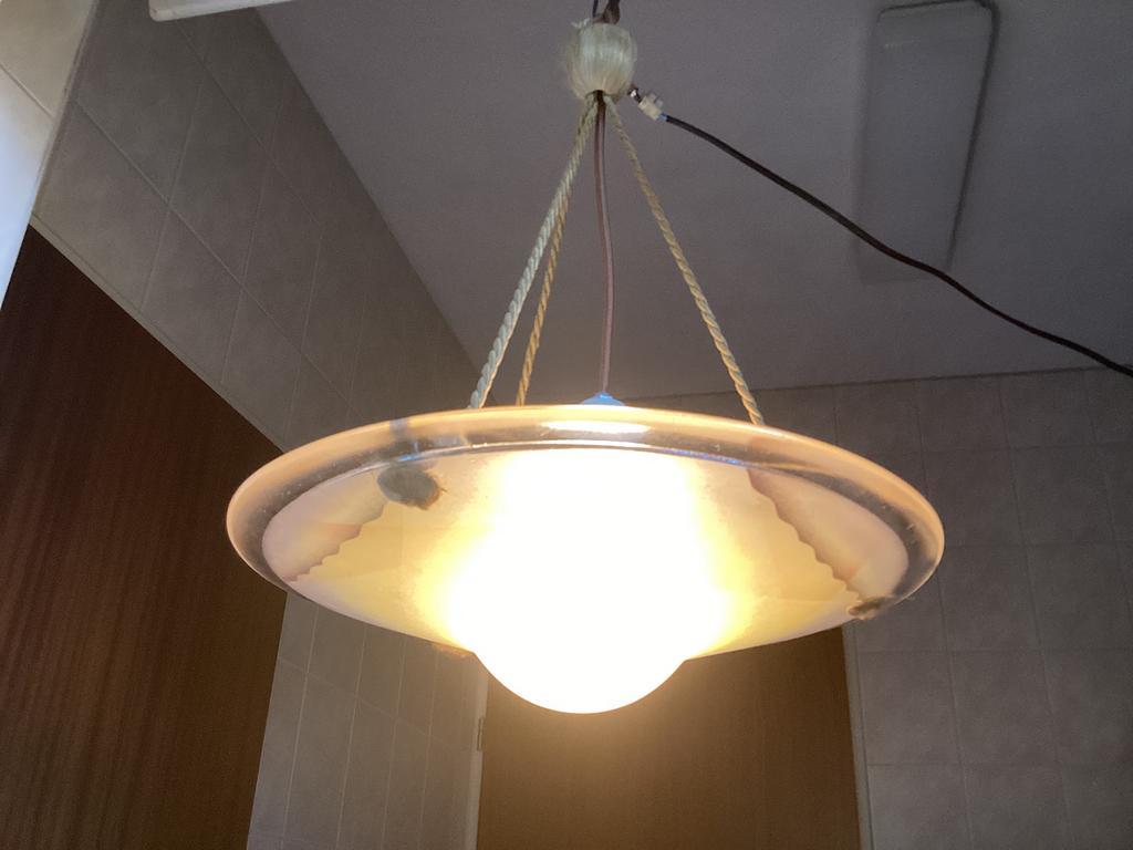 Art Deco. Franse Schotellamp. Pate de Vert. ‘Daum?’ ca.1930., Ophalen of Verzenden