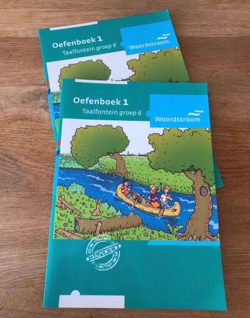 Woordstroom Oefenboek 1 groep 6, Boeken, Ophalen of Verzenden, Zo goed als nieuw, Overige niveaus, Nederlands