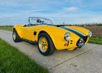 AC Cobra - 5.0L Ford Racing V8 - 5bak (overdrive) (Pilgrim), Achterwielaandrijving, Zwart, Overige kleuren, Cabriolet