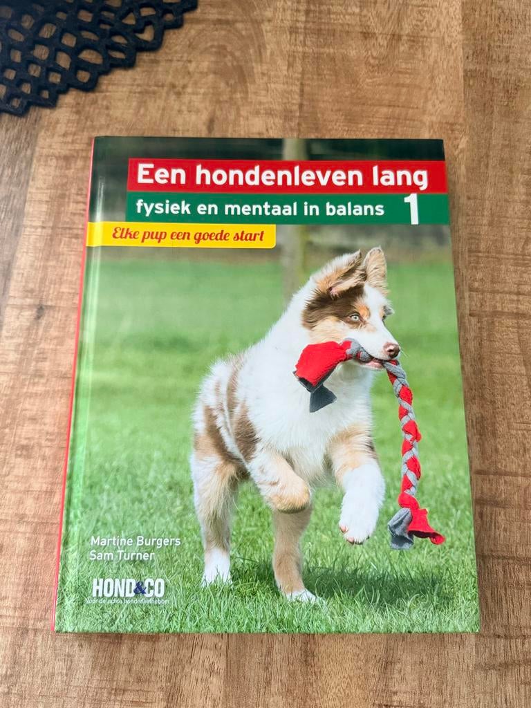 Boek: Een hondenleven lang - Elke pup een goede start, Boeken, Dieren en Huisdieren, Ophalen of Verzenden, Zo goed als nieuw, Honden