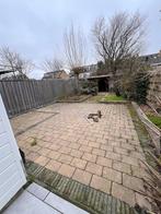 Tuintegels - gratis afhalen, Ophalen, Gebruikt, 10 m² of meer, Beton