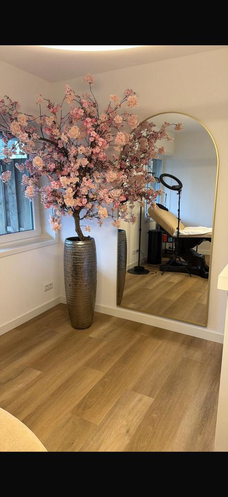 Bloesemboom, Verzenden, Nieuw, Binnen