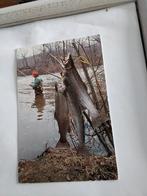 FISHING, Ophalen of Verzenden, Sterren en Beroemdheden