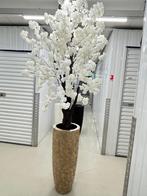 Schelpenvazen met bloesem, Ophalen of Verzenden