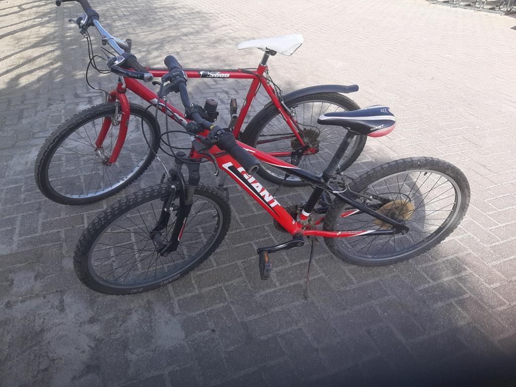 Cross fietsen, Ophalen, Gebruikt, Aluminium, 24 inch of meer