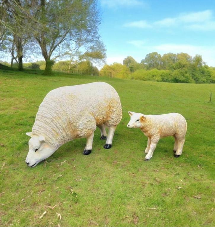 Schaap, beeld geit, beeld varken, kalf, koe beeld, lammetje, Tuin en Terras, Tuinbeelden, Nieuw, Dierenbeeld, Kunststof, Ophalen