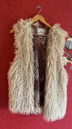 Summum gilet maat s, Kleding | Dames, Truien en Vesten, Ophalen of Verzenden, Zo goed als nieuw, Maat 36 (S)