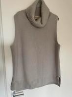 Nieuw zonder prijsk mouwloze trui/spencer met kasjmier h&m S, Kleding | Dames, Ophalen of Verzenden, Nieuw, Maat 36 (S), Grijs