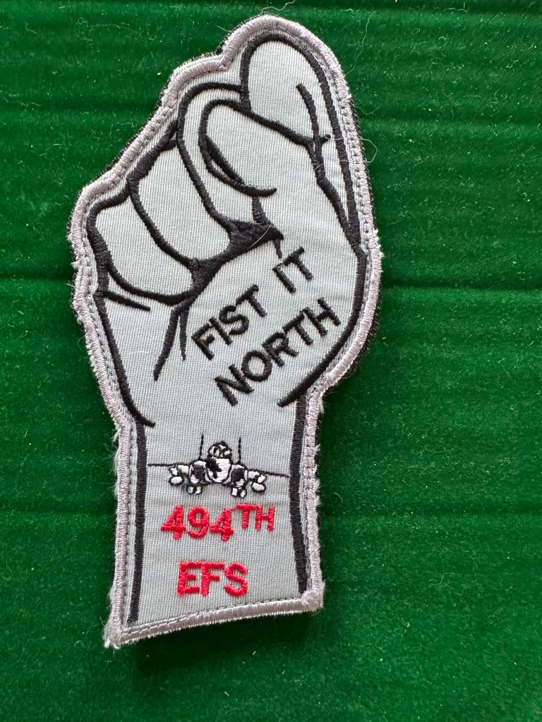 USAF F-15E 494th Panther squadron, Verzenden, Zo goed als nieuw, Patch, Badge of Embleem