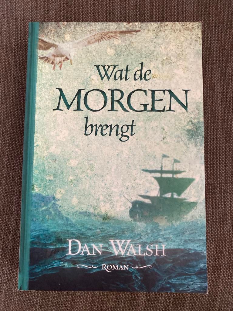 Dan Walsh - Wat de morgen brengt, Boeken, Ophalen of Verzenden, Zo goed als nieuw, Dan Walsh