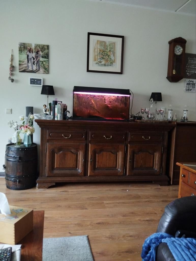 Te koop aquarium van 80cm, Karper of Koi