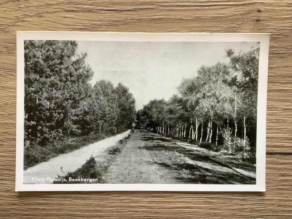 ansichtkaart Beekbergen, Ophalen of Verzenden, Ongelopen, Gelderland