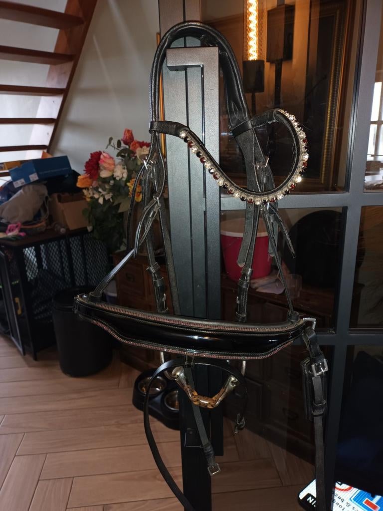 Nieuw hoofdstel maat Cob, Dieren en Toebehoren, Paarden en Pony's | Hoofdstellen en Tuigage, Ophalen of Verzenden, Nieuw