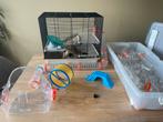 Hamsterkooi met veel buizen, Dieren en Toebehoren, Ophalen, Minder dan 75 cm, Kooi, Minder dan 60 cm