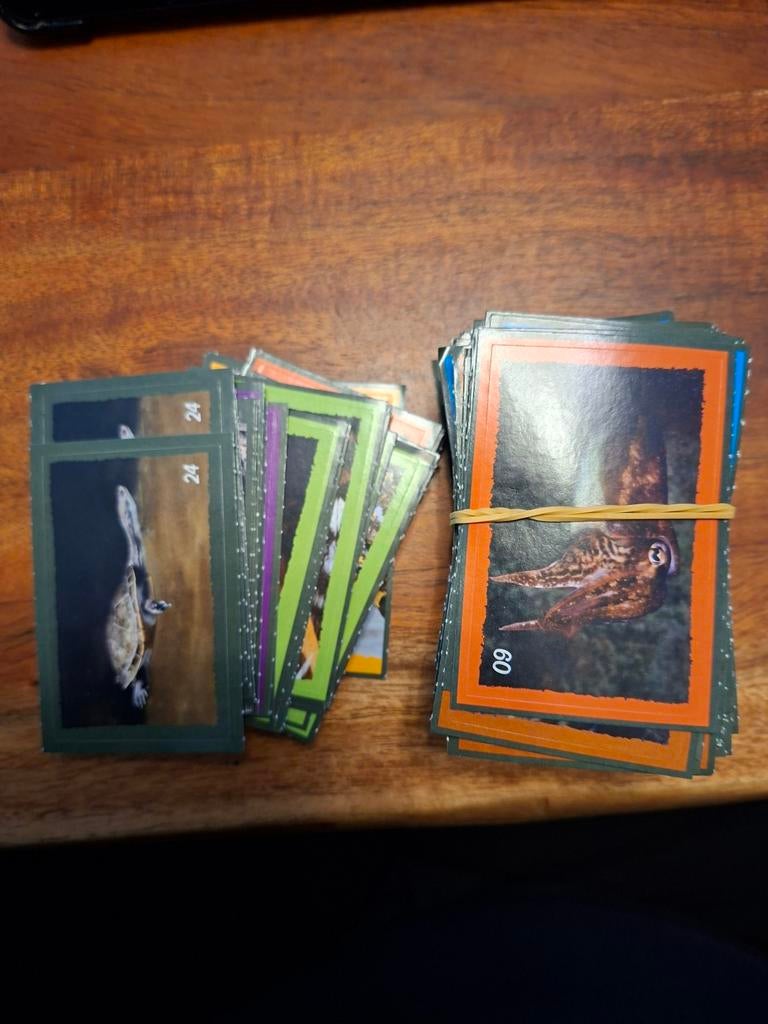 DEKA DIEREN STICKERS/ ruilen tegen D.E punten, Dekamarkt, Ophalen of Verzenden