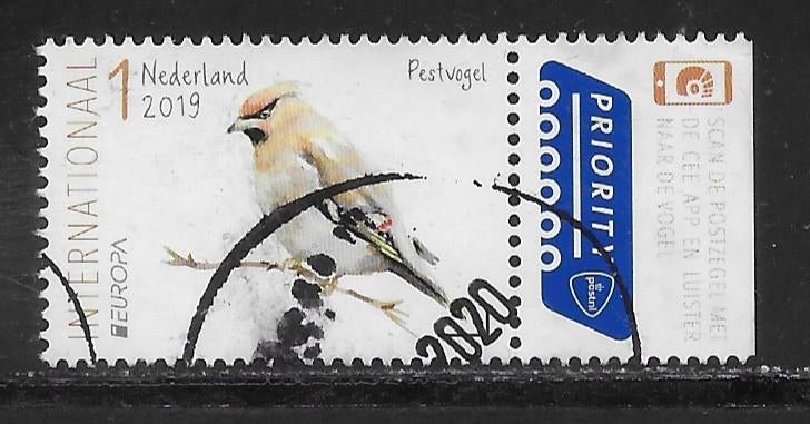 2019, Tuinvogels Internationaal, Pestvogel [3739] (K0205), Postzegels en Munten, Postzegels | Nederland, Ophalen of Verzenden