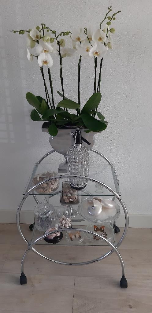 Sifon, Ophalen of Verzenden, Zo goed als nieuw