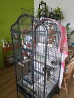 Kooi, Ophalen of Verzenden, Zo goed als nieuw, Metaal, Vogelkooi