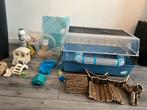 Hamster kooi met heel veel toebehoren, Minder dan 60 cm, Kooi, Minder dan 75 cm, Ophalen of Verzenden