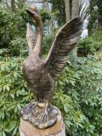 (Tuin)Beeld Gans, tuin, zwembad, vijver, gazon 80cm, Ophalen, Nieuw, Kunststof, Dierenbeeld