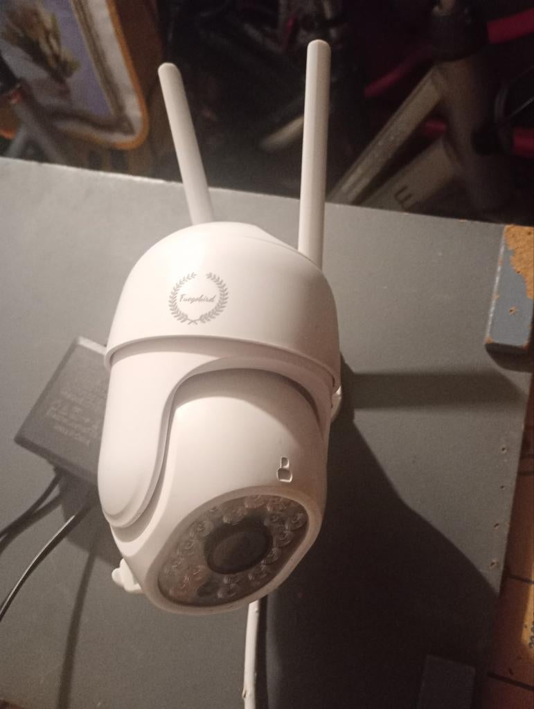 Fungobird Wifi beveiligingscamera, Ophalen of Verzenden