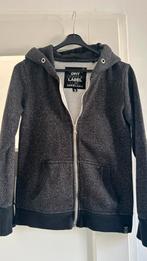 Superdry hoodie maat S met glitters, comfortabel, Verzenden, Zo goed als nieuw, Maat 36 (S), Grijs