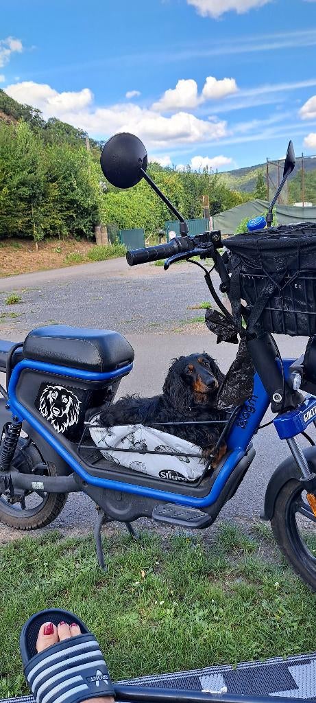 Goccia elektrische scooter, Gebruikt, Elektrisch, Ophalen, Overige merken