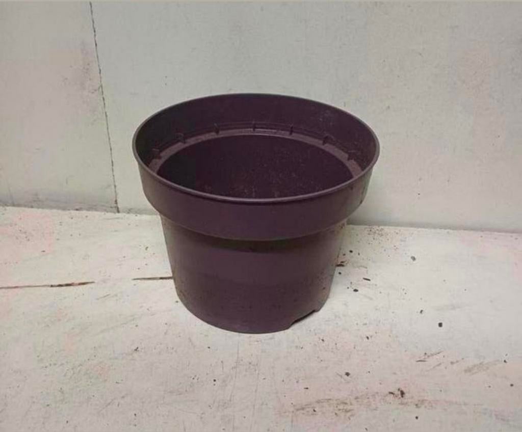 OPRUIMINGS ACTIE
Kweekpotten plantenpotten bloempot 5 liter, Tuin en Terras, Kunststof, Gebruikt, Rond, Ophalen of Verzenden