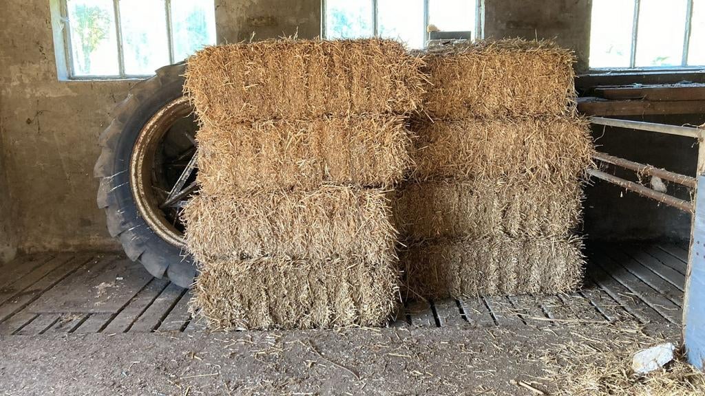 Gratis 8 stro balen, Doe-het-zelf en Verbouw, Hout en Planken, Ophalen, Minder dan 25 mm, Pallet, Minder dan 200 cm