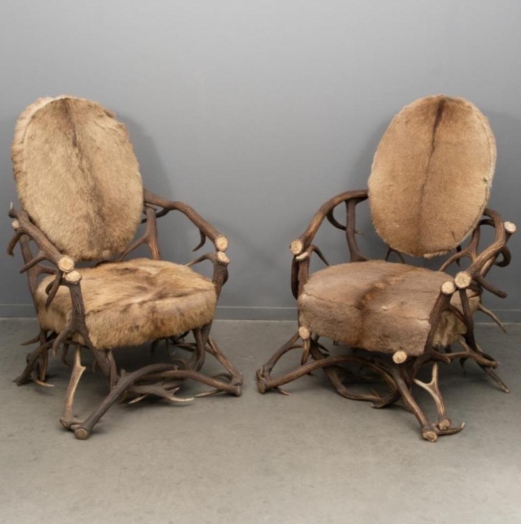 Paar unieke antieke hertengeweien stoelen, Ophalen, Overige materialen, Gebruikt, 75 tot 100 cm